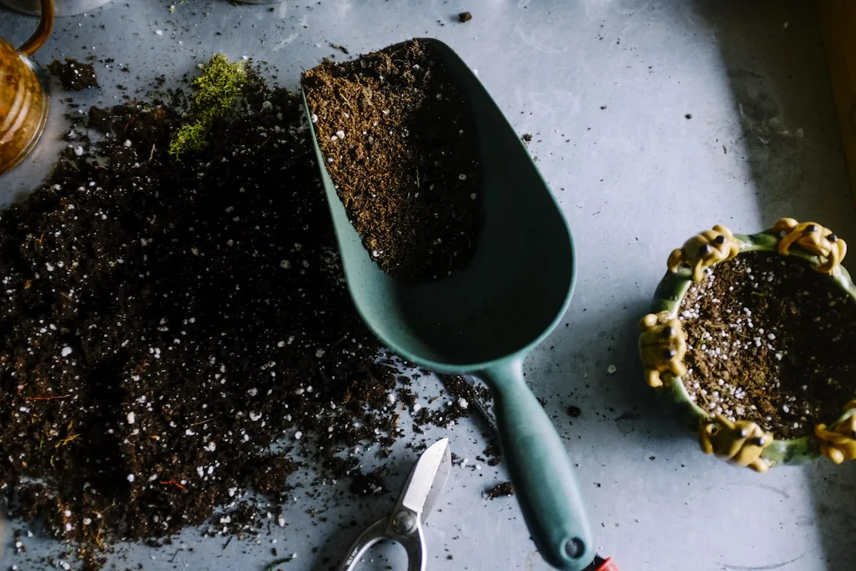 Gartenpflege Kosten Schweiz — Preise pro Stunde, m² und Jahr